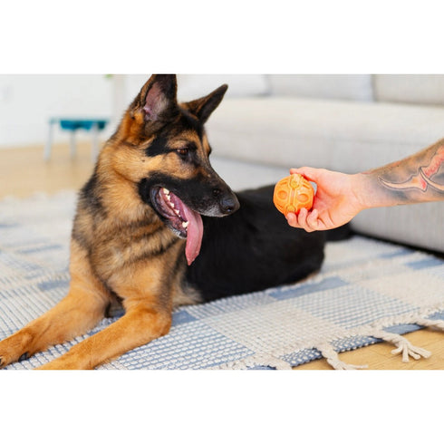 Totally Pooched Stuff'n Brush Ball 3" Orange Dog Toy - Poudre Pet & Feed Supply 7