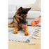 Totally Pooched Stuff'n Brush Ball 3" Orange Dog Toy - Poudre Pet & Feed Supply 8