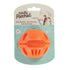 Totally Pooched Stuff'n Brush Ball 3" Orange Dog Toy - Poudre Pet & Feed Supply 9