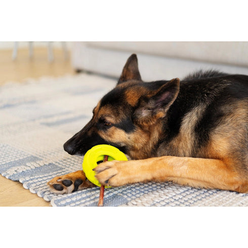Totally Pooched Stuff'n Brush Tire 5" Green Dog Toy - Poudre Pet & Feed Supply 2