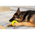 Totally Pooched Stuff'n Brush Tire 5" Green Dog Toy - Poudre Pet & Feed Supply 2