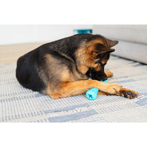 Totally Pooched Stuff'n Brush Stick 9" Teal - Poudre Pet & Feed Supply 5