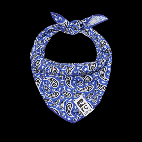 RC Pets Zephyr Cooling Bandana - Poudre Pet & Feed Supply