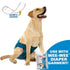 Four Paws Wee-Wee Super Absorbent Disposable Dog Diaper Liners 10Pk - Poudre Pet & Feed Supply 2
