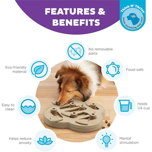 Outward Hound Hide N' Slide Interactive Treat Puzzle Dog Toy Level 2 Tan - Poudre Pet & Feed Supply 2