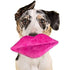 Lulubelles Power Plush Dog Toy Hot Lips - Poudre Pet & Feed Supply 5