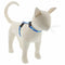 Lupine Reflective H-Style Cat Harness 1/2" x 9"-14" High Lights Blue Paws - Poudre Pet & Feed Supply