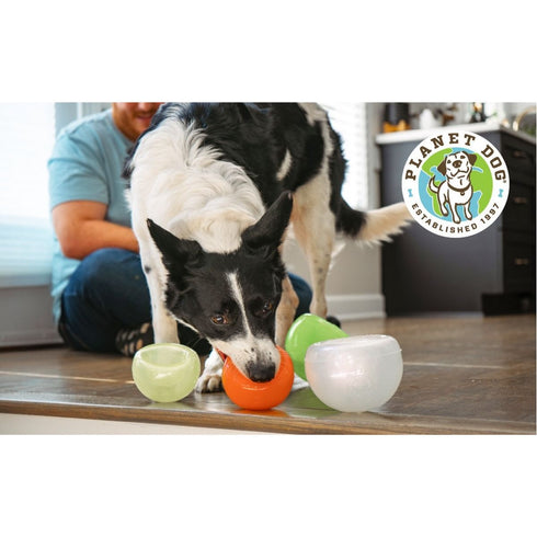 Planet Dog Orbee Lil' Snoop Red Dog Toy - Poudre Pet & Feed Supply 2