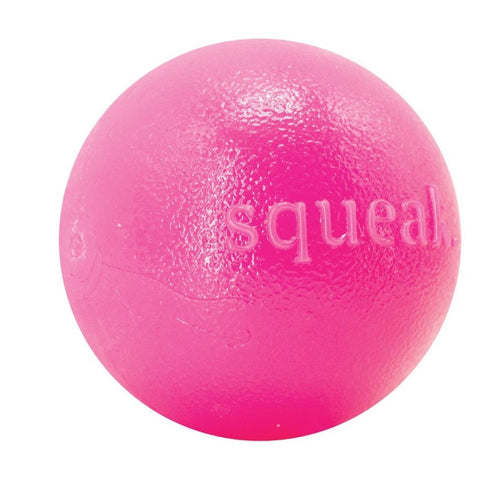 Planet Dog Orbee Squeak Ball Pink - Poudre Pet & Feed Supply