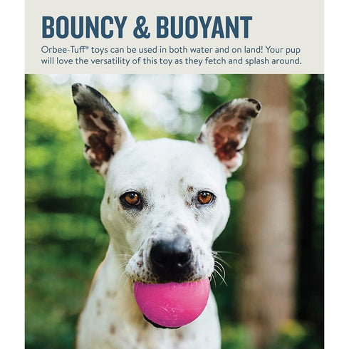 Planet Dog Orbee Squeak Ball Pink - Poudre Pet & Feed Supply 3
