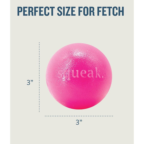 Planet Dog Orbee Squeak Ball Pink - Poudre Pet & Feed Supply 4