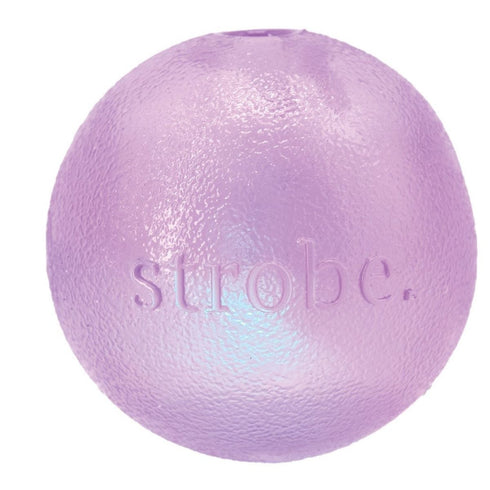 Planet Dog Orbee Strobe Ball Light Up LED Purple Dog Toy - Poudre Pet & Feed Supply