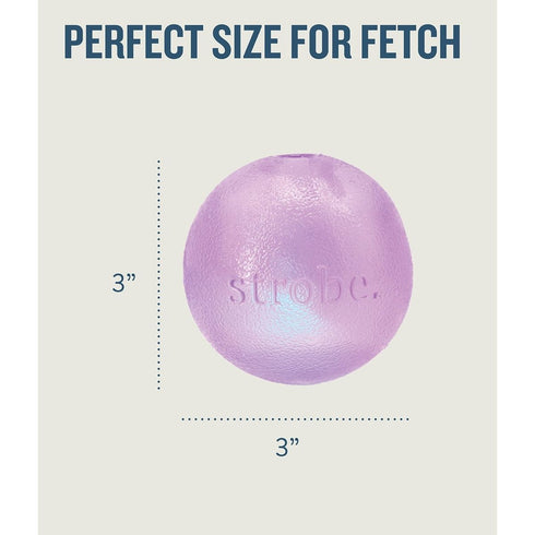 Planet Dog Orbee Strobe Ball Light Up LED Purple Dog Toy - Poudre Pet & Feed Supply 4