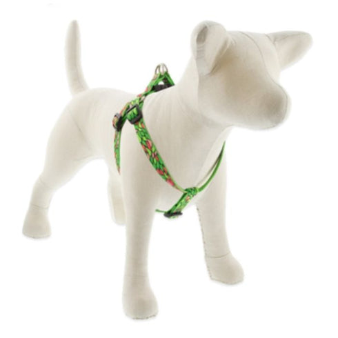 Lupine Step-In Dog Harness 3/4" x 20-30" Tiffany - Poudre Pet & Feed Supply