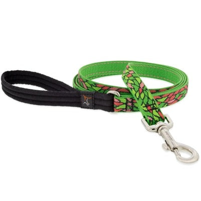 Lupine Pet Dog Leash 3/4" x 6' Tiffany - Poudre Pet & Feed Supply