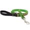 Lupine Pet Dog Leash 3/4" x 6' Tiffany - Poudre Pet & Feed Supply