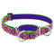 Lupine Collar Adjustable 1" x 16"-28" Azteca - Poudre Pet & Feed Supply