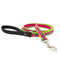 Lupine Dog Leash 3/4" x 4' Petunias - Poudre Pet & Feed Supply