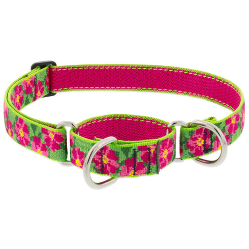 Lupine Martingale Collar for Training 1" x 19-27" Petunias - Poudre Pet & Feed Supply