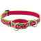 Lupine Martingale Collar for Training 1" x 19-27" Petunias - Poudre Pet & Feed Supply