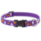 Lupine Pet Adjustable Dog Collar 3/4" x 15"-25" Sweet Dreams - Poudre Pet & Feed Supply