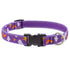 Lupine Pet Adjustable Dog Collar 3/4" x 15"-25" Sweet Dreams - Poudre Pet & Feed Supply