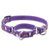 Lupine Pet Adjustable Dog Collar 3/4" x 15"-25" Sweet Dreams - Poudre Pet & Feed Supply 2
