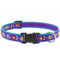 Lupine Pet Martingale Dog Collars 3/4" x 10"-14" Folk Flower - Poudre Pet & Feed Supply