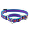 Lupine Martingale Dog Collar for Training 3/4" x 14-20" Folk Flower - Poudre Pet & Feed Supply