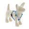 Lupine Roman Dog Harness 1" x 20-32" Cottage Garden - Poudre Pet & Feed Supply
