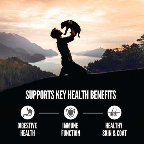 Orijen Amazing Grains Puppy Dry Dog Food 4lb - Poudre Pet and Feed Supply