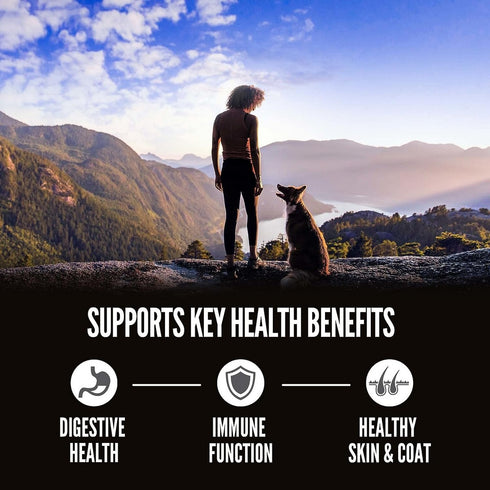 Orijen Amazing Grains Original Dry Dog Food 22.5lb - Poudre Pet and Feed Supply