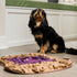 Injoya PB&J Snuffle Dog Mat 1.57''