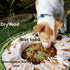 Injoya Cookie Blue & Orange Snuffle Mat Pet Supplies 1.57''