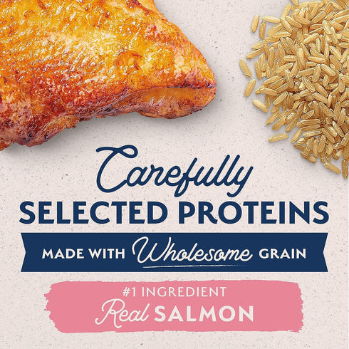 Natural Balance Limited Ingredient Diet Salmon & Brown Rice Recipe Dry Dog Food 24lb - Poudre Pet and Feed Supply