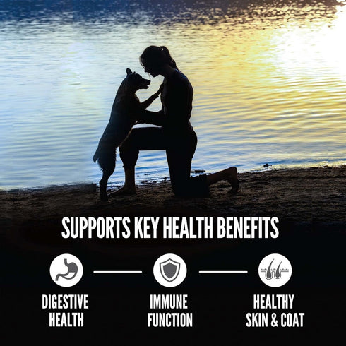 Orijen Amazing Grains 6 Fish Dry Dog Food 22.5lb - Poudre Pet and Feed Supply