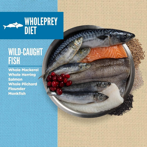 Orijen Amazing Grains 6 Fish Dry Dog Food 4lb - Poudre Pet and Feed Supply