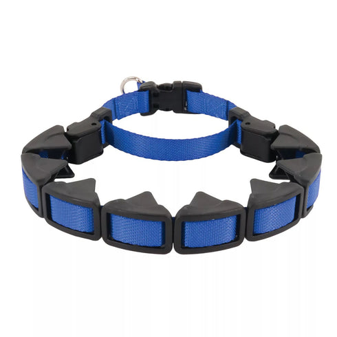 Coastal Natural Control Training Collar Small Blue 1" x 16" poudrefeed.com