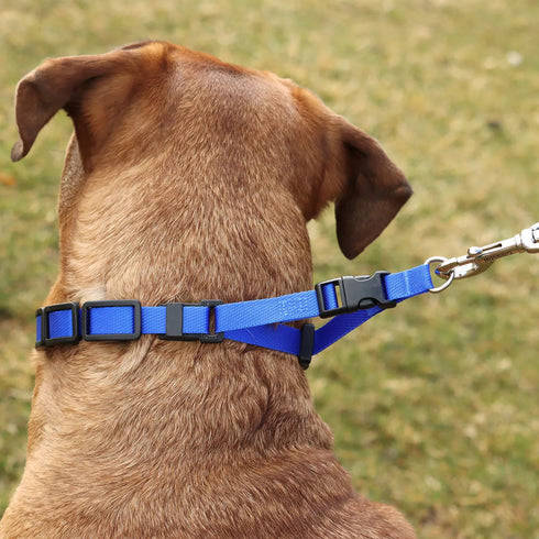 Coastal Drop Natural Control Training Collar Additional Links - Poudre Pet and Feed Supply
