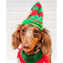 Huxley & Kent Lil Helper Elf Hat For Dogs Small