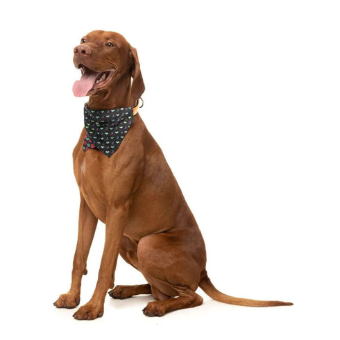 Fuzzyard Bandana Small Medium Be My Ghowl Purple Poudre Pet & Feed Supply 4