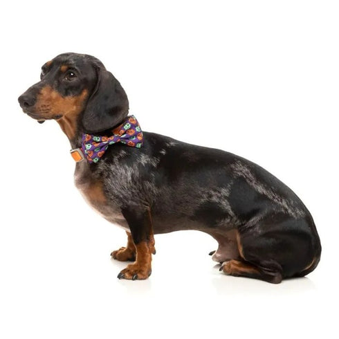 FuzzYard Be My Ghoul Bowtie Purple Small - Poudre Pet & Feed Supply 3