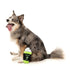 FuzzYard Monster Brew Dog Toy Poudre Pet & Feed Supply 3