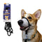 Heather's Heroes Sidekick Mini 1/4" x 6' Black Dog Leash poudrefeed.com
