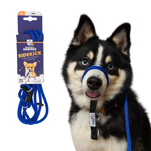 Heather's Heroes Sidekick Mini 1/4" x 6' Blue Dog Leash poudrefeed.com