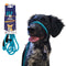 Heather's Heroes Sidekick Mini 1/4" x 6' Turquoise Dog Leash poudrefeed.com
