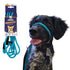 Heather's Heroes Sidekick Mini 1/4" x 6' Turquoise Dog Leash poudrefeed.com