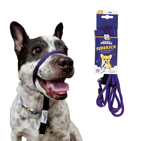 Heather's Heroes Sidekick Mini 1/4" x 6' Purple Dog Leash poudrefeed.com