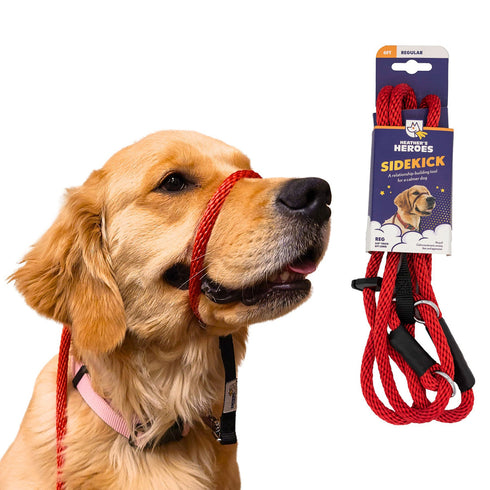 Heather's Heroes Sidekick Regular 3/8" x 6' Red Dog Leash poudrefeed.com