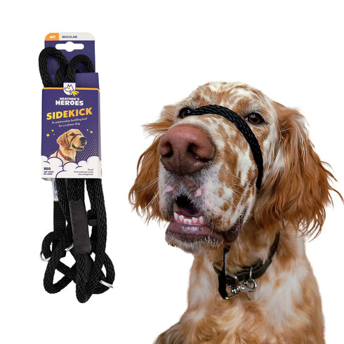 Heather's Heroes Sidekick Regular 3/8" x 6' Black Dog Leash poudrefeed.com